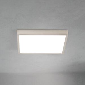 ORION LED φωτιστικό οροφής Disc, χρώμα νικελίου σατινέ, μήκος 24 cm CCT, ρυθμιζόμενος, Μεταλλικό, Σαλόνι / τραπεζαρία, Αλουμίνιο, σύγχρονο