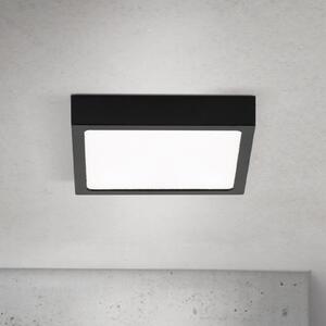 ORION LED οροφής Disc, μαύρο μήκος 14 cm, CCT μέταλλο, ρυθμιζόμενος, Μαύρο, Σαλόνι / τραπεζαρία, Αλουμίνιο, σύγχρονο