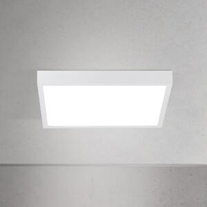 ORION LED οροφής Disc, λευκό, μήκος 24 cm, CCT, μέταλλο, ρυθμιζόμενος, Λευκό, Σαλόνι / τραπεζαρία, Αλουμίνιο, σύγχρονο