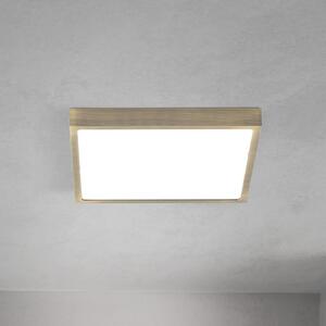 ORION LED οροφής Disc, χρώμα ορείχαλκου αντίκα, μήκος 24 cm, CCT, ρυθμιζόμενος, Μπρούτζινο / Αντικέ ορείχαλκου, Σαλόνι / τραπεζαρία, Αλουμίνιο, σύγχρονο