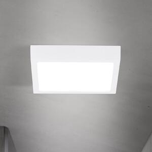 ORION LED οροφής Disc, λευκό, μήκος 14 cm, CCT, μέταλλο, ρυθμιζόμενος, Λευκό, Σαλόνι / τραπεζαρία, Αλουμίνιο, σύγχρονο