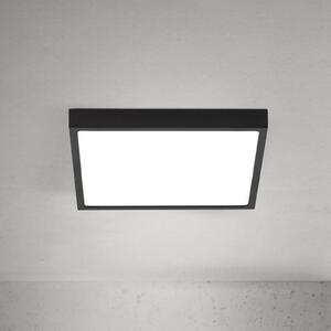 ORION LED οροφής Disc, μαύρο μήκος 24 cm, CCT μέταλλο, ρυθμιζόμενος, Μαύρο, Σαλόνι / τραπεζαρία, Αλουμίνιο, σύγχρονο
