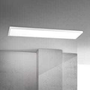 ORION LED οροφής Disc, λευκό, μήκος 115 cm, CCT, μέταλλο, ρυθμιζόμενος, Λευκό, Σαλόνι / τραπεζαρία, Αλουμίνιο, σύγχρονο