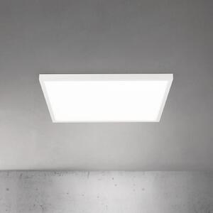 ORION LED οροφής Disc, λευκό, μήκος 60 cm, CCT, μέταλλο, ρυθμιζόμενος, Λευκό, Σαλόνι / τραπεζαρία, Αλουμίνιο, σύγχρονο