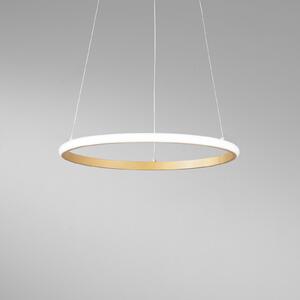 Luce Ambiente Design Κρεμαστό φωτιστικό LED Axis, Ø 40 cm, χρυσό χρώμα, μέταλλο, CCT, Χρυσό / Ορείχαλκου, Σαλόνι / τραπεζαρία, Μέταλλο, σύγχρονο
