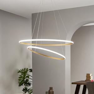 Luce Ambiente Design Κρεμαστό φωτιστικό LED Axis, Ø 80/60 cm, χρυσό χρώμα, μέταλλο, CCT, Χρυσό / Ορείχαλκου, Σαλόνι / τραπεζαρία, Μέταλλο, σύγχρονο