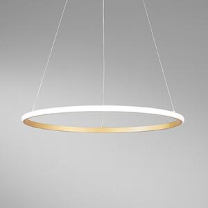 Luce Ambiente Design Κρεμαστό φωτιστικό LED Axis, Ø 60 cm, χρυσό χρώμα, μέταλλο, CCT, Χρυσό / Ορείχαλκου, Σαλόνι / τραπεζαρία, Μέταλλο, σύγχρονο