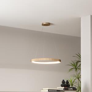 Luce Ambiente Design Κρεμαστό φωτιστικό LED Niike, χρυσό χρώμα, Ø 50 cm, μέταλλο, CCT, Χρυσό / Ορείχαλκου, Σαλόνι / τραπεζαρία, Μέταλλο, σύγχρονο