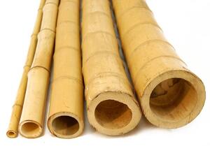 Ιστός bamboo Ø4-6 x 300εκ