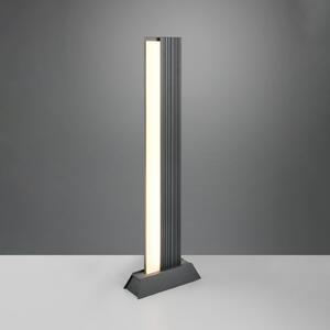 Trio Lighting Φωτιστικό LED MARIZA, ύψος 100 cm, ανθρακί, μέταλλο, IP65, Μαύρο, Αλουμίνιο, σύγχρονο
