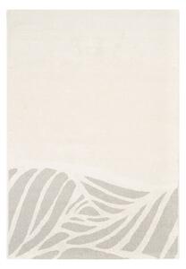 Χαλί Διαδρόμου (80x150) Ezzo Pavia F071B3R Cream
