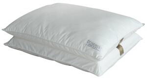 Μαξιλάρι Ύπνου Μαλακό/Μέτριο (48x67) Palamaiki Combo Super Soft