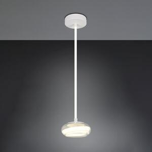 Trio Lighting Κρεμαστή λάμπα LED Tarsia, λευκό ματ, Ø 21 cm, γυαλί, ρυθμιζόμενος, Λευκό, Σαλόνι / τραπεζαρία, Γυαλί, σύγχρονο