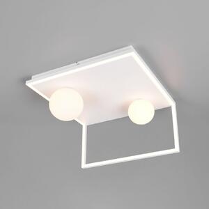 Trio Lighting Φωτιστικό οροφής LED Arola, λευκό ματ, πλάτος 37 cm, μέταλλο, ρυθμιζόμενος, Λευκό, Σαλόνι / τραπεζαρία, Μέταλλο, σύγχρονο