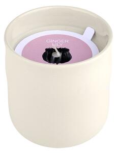 Κερί Αρωματικό 289gr Estia Ginger Lily 04-36508