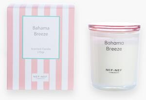 Κερί Αρωματικό 270gr Nef-Nef Homeware Bahama Breeze