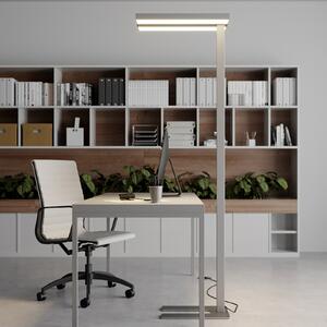 Arcchio LED-Stehlamp Logan Basic, ασημί, 6.000 lm, ρυθμιζόμενη ένταση φωτισμού, ρυθμιζόμενος, Μεταλλικό, Μελέτη / Γραφείο, Αλουμίνιο, σύγχρονο, Όρθιος προβολέας