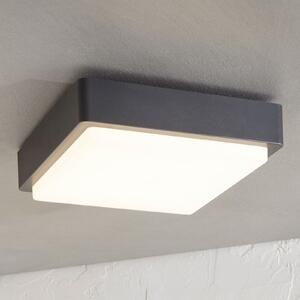 Lindby LED εξωτερική λάμπα οροφής Nermin, 22 cm, IP65, γωνιακή, Μαύρο, Πλαστικό, σύγχρονο