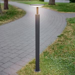 Lucande Φωτιστικό μονοπατιών LED Fenia, 100 cm, ανθρακί, IP65, Μαύρο, Αλουμίνιο, σύγχρονο