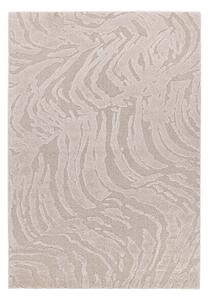 Χαλί (200x290) Royal Carpet Cocoon 59615/055
