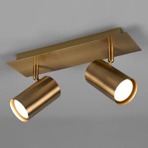 Trio Lighting Προβολέας οροφής Marley, ορείχαλκος αντίκα, 2-φωτισμός, ρυθμιζόμενος, Μπρούτζινο / Αντικέ ορείχαλκου, Σαλόνι / τραπεζαρία, Μέταλλο, σύγχρονο