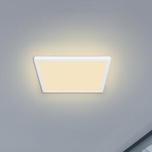 Globo Φωτιστικό οροφής LED Sapana, γωνιακό, dimmable, λευκό, ρυθμιζόμενος, Λευκό, Σαλόνι / τραπεζαρία, Πλαστικό, σύγχρονο