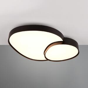 Trio Lighting Φωτιστικό οροφής LED Rise, μαύρο, 77 x 63 cm, CCT, dimmable, ρυθμιζόμενος, Μαύρο, Σαλόνι / τραπεζαρία, Μέταλλο, σύγχρονο