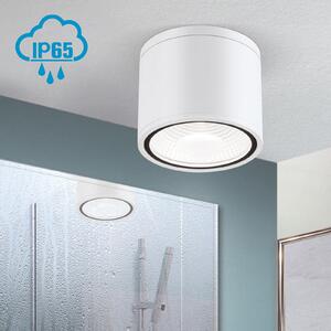 ORION Προβολέας οροφής LED Sputnik IP65 Ø 14,5 cm λευκό, Λευκό, Μπάνιο, Μέταλλο, σύγχρονο, Υπαίθριος προβολέας / ακίδα εδάφους
