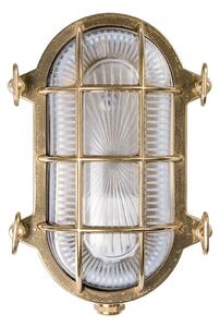 Moretti Luce Φωτιστικό τοίχου Tortuga οβάλ 22.5cm ορείχαλκο φυσικό/διαφανές, ρυθμιζόμενος, Χρυσό / Ορείχαλκου, Μέταλλο, Θαλάσσιος