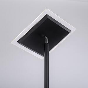 JUST LIGHT. GmbH Hans LED φωτιστικό δαπέδου με λαμπτήρα ανάγνωσης, γωνιακό, μαύρο, ρυθμιζόμενος, Μαύρο, Σαλόνι / τραπεζαρία, Μέταλλο, σύγχρονο, Φως ανάγνωσης