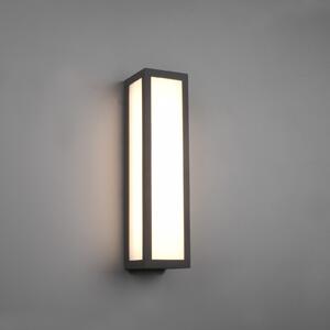 Trio Lighting Εξωτερικό φωτιστικό τοίχου LED Fuerte, ανθρακί, αλουμίνιο, IP54, Μαύρο, Μέταλλο, σύγχρονο