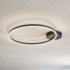 Fabas Luce Giotto 1-φωτεινό φωτιστικό οροφής LED, μαύρο, ρυθμιζόμενος, Μαύρο, Σαλόνι / τραπεζαρία, Μέταλλο, σύγχρονο