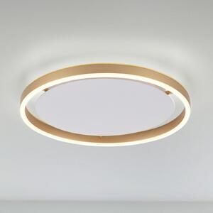 JUST LIGHT. GmbH Φωτιστικό οροφής LED Ritus, Ø 39.3cm ματ ορείχαλκο, ρυθμιζόμενος, Μπρούτζινο / Αντικέ ορείχαλκου, Σαλόνι / τραπεζαρία, Μέταλλο, σύγχρονο
