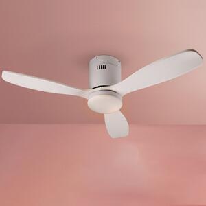 Schuller Valencia Ανεμιστήρας οροφής LED Siroco Mini, DC, αθόρυβος, λευκός, CCT, ρυθμιζόμενος, Λευκό, Σαλόνι / τραπεζαρία, Ξύλο, σύγχρονο