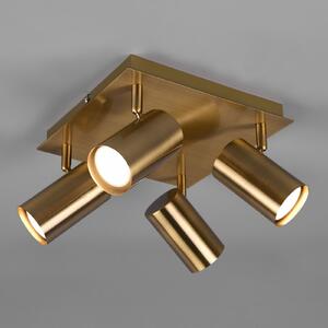 Trio Lighting Προβολέας οροφής Marley, ορειχάλκινος αντίκες, 4-φωτός, ρυθμιζόμενος, Μπρούτζινο / Αντικέ ορείχαλκου, Σαλόνι / τραπεζαρία, Μέταλλο, σύγχρονο