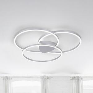 Q-Smart-Home Φωτιστικό οροφής Paul Neuhaus Q-KATE LED, ρυθμιζόμενος, Γκρι, Σαλόνι / τραπεζαρία, Μέταλλο, σύγχρονο, Οροφή πολλαπλής φλόγας