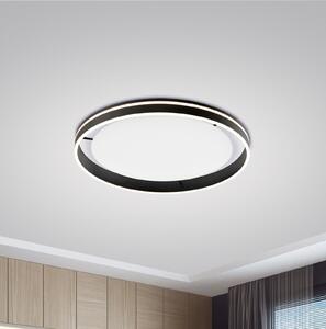 Q-Smart-Home Paul Neuhaus Q-VITO LED φωτιστικό οροφής 79cm ανθρακί, ρυθμιζόμενος, Μαύρο, Σαλόνι / τραπεζαρία, Μέταλλο, σύγχρονο