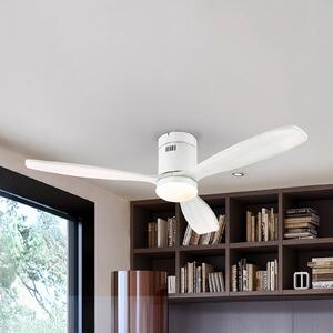 Schuller Valencia Ανεμιστήρας οροφής LED Siroco, λευκός, Ø 132 cm, αθόρυβος, CCT, ρυθμιζόμενος, Λευκό, Σαλόνι / τραπεζαρία, Ξύλο, σύγχρονο