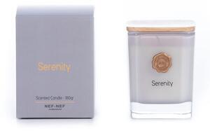 Αρωματικό Κερί Serenity 180gr Grey Nef-Nef Homeware