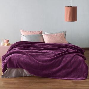 Κουβέρτα Βελουτέ Μονή (160x220) Kentia Loft Bella 05 Purple AW2026