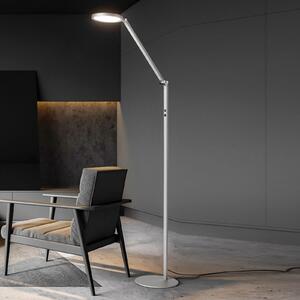 Fabas Luce Φωτιστικό δαπέδου LED Regina, 1-φωτιστικό, αλουμίνιο, ρυθμιζόμενος, Μεταλλικό, Σαλόνι / τραπεζαρία, Μέταλλο, σύγχρονο