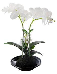 Artekko Orchid Τεχνητή Λευκή Ορχιδέα σε Μαύρο Κασπώ (32x15x34)cm