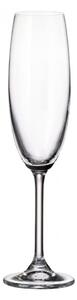 Ποτήρι Σαμπάνιας Κολωνάτο 220ml Crystal Bohemia Colibri