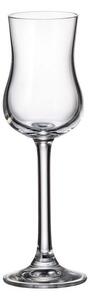 Ποτήρι Ποτού Κολωνάτο 85ml Crystal Bohemia Colibri