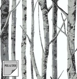 Ταπετσαρία KT-Exclusive PEEL & STICK 115442-KTE