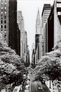 Πίνακας Γυάλινος Streets Of NY Λευκό/Μαύρο 80x120εκ. - Γκρι