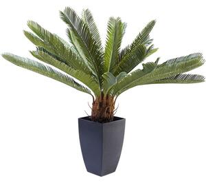 Διακοσμητικό Φυτό Cycas Tree Πράσινο 40x20x78 εκ. - Πράσινο