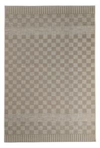 Χαλί All Season (200x290) Tzikas Carpets Clyde 45015-070