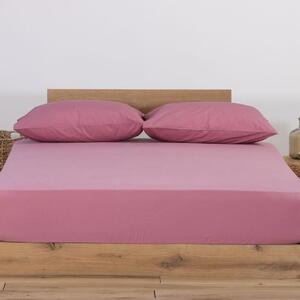 Σεντόνι Μακό Μονό Με Λάστιχο (100x200+30) Nef-Nef Homeware Jersey Apple