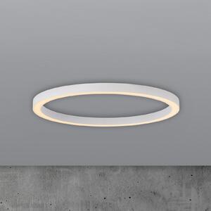 PURE LED φωτιστικό οροφής Lines, Ø 70 cm, λευκό, τηλεχειριστήριο CCT, ρυθμιζόμενος, Λευκό, Σαλόνι / τραπεζαρία, Μέταλλο, σύγχρονο